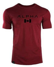 Load image into Gallery viewer, 2018 Mens Military Army T Shirt 2017 Men Star Loose Cotton T-shirt O-neck Alpha America Size Short Sleeve Tshirts